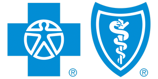 Blue Cross Blue Shield